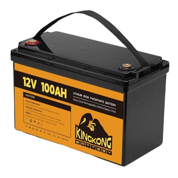Portable (12,8 V 100 Ah)