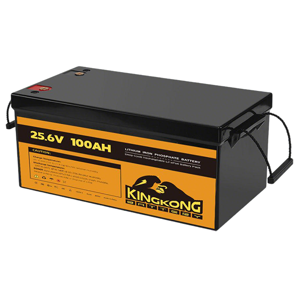 Portable (25,6 V 100 Ah)